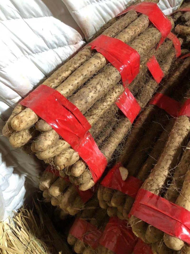 红云代购代销各种各样的山药