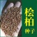 柏树种子塔柏侧柏桧柏龙柏松柏种子