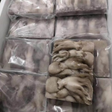 工厂定做八爪鱼定做规格