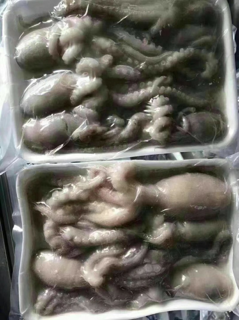 工厂定做八爪鱼定做规格