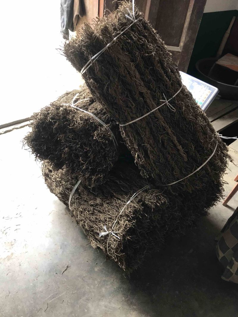 鼻血雷、背蛇生碧血莲（钟铃藤）详情请咨询
