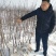 中秋王苹果树苗,可以视频看货,支持线上保障交易