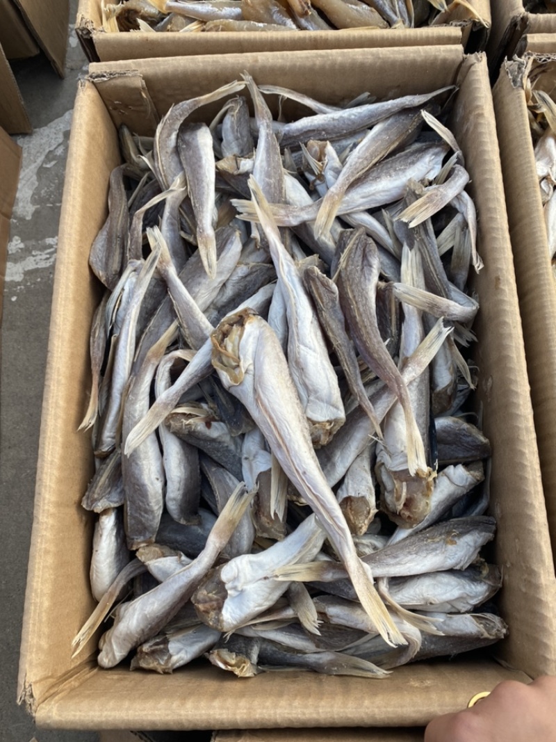 【精选】皮棍鱼蒜瓣肉没有乱刺个头大咸鱼