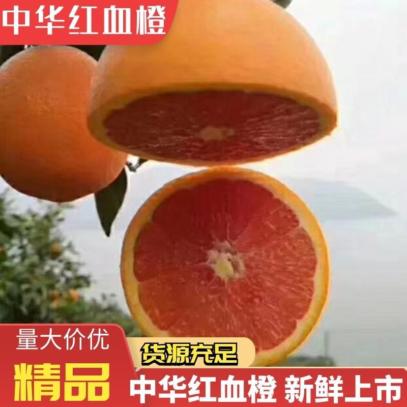 中华红血橙原产地口感甜水分充足甜蜜质量保证现摘现发