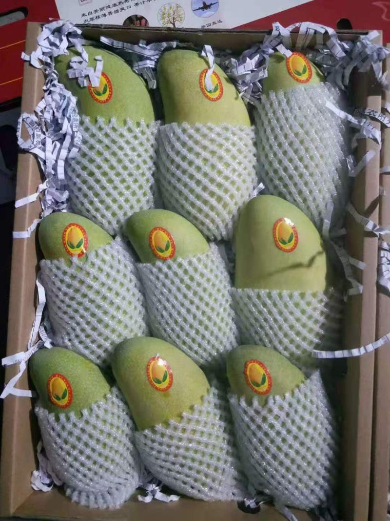海南特级精品金煌芒礼盒装要多少发多少