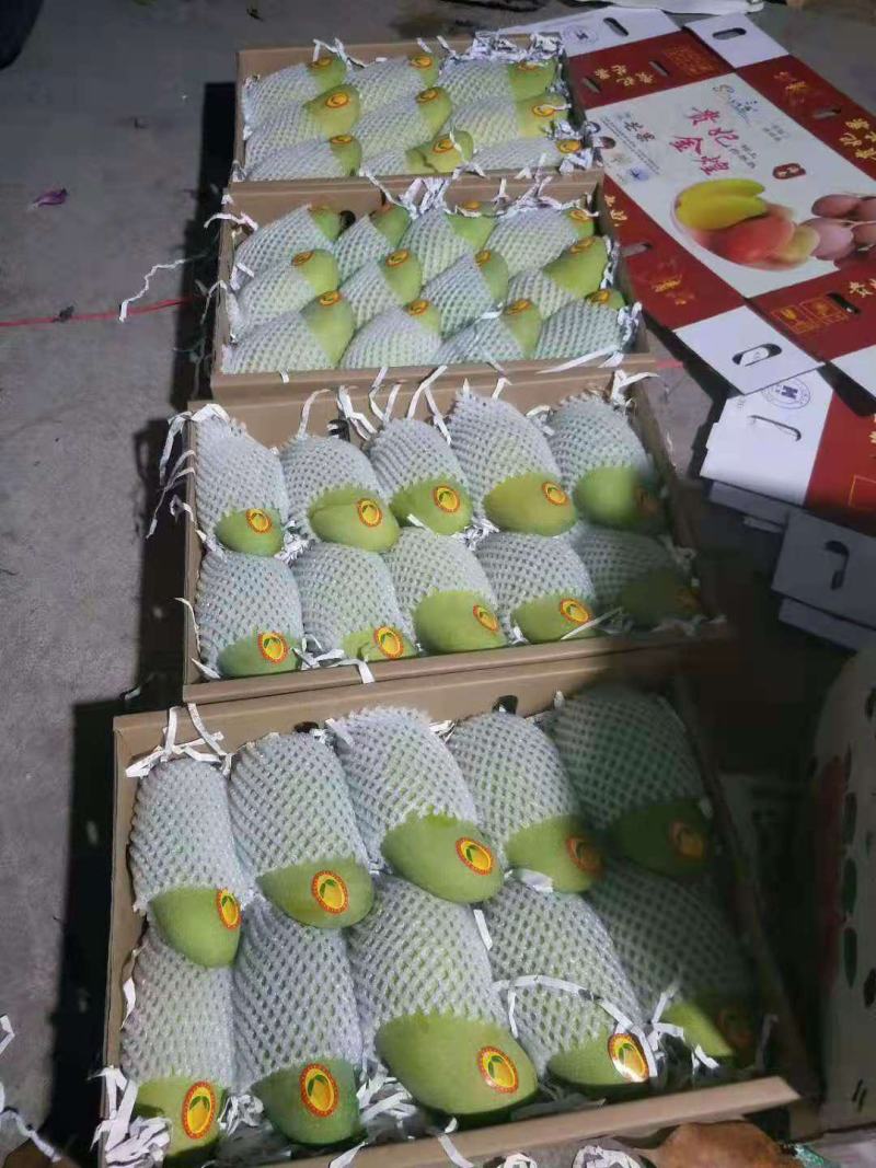 海南特级精品金煌芒礼盒装要多少发多少