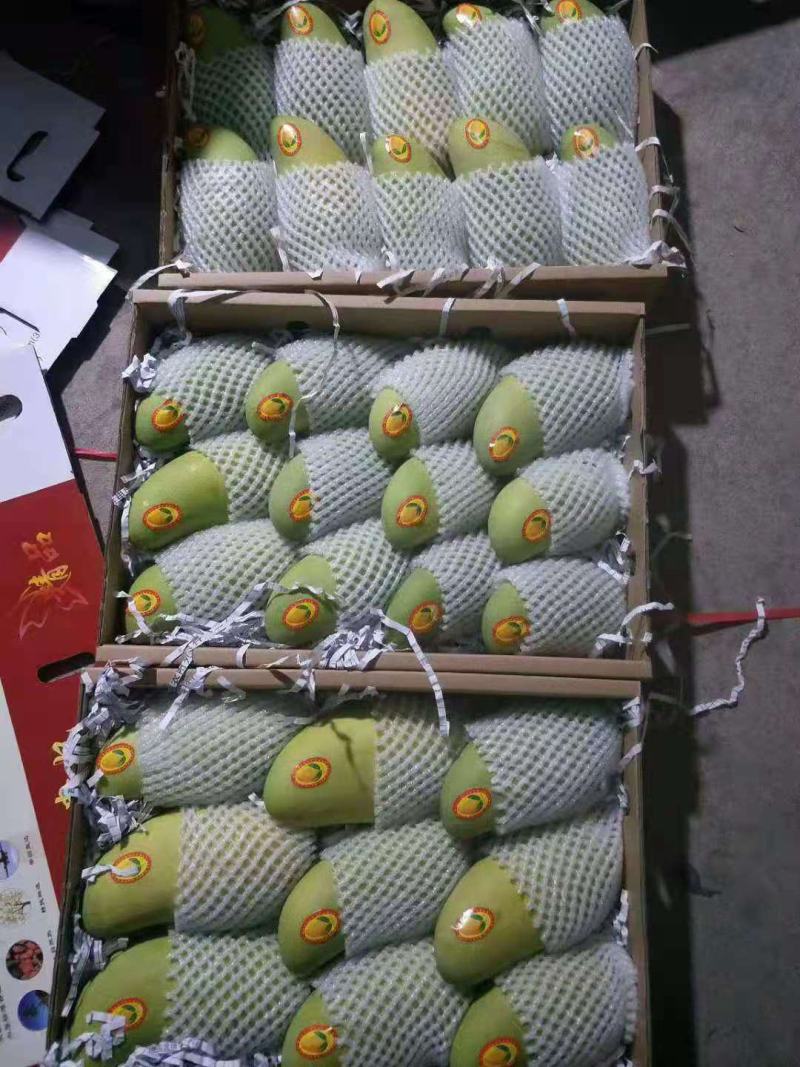海南特级精品金煌芒礼盒装要多少发多少