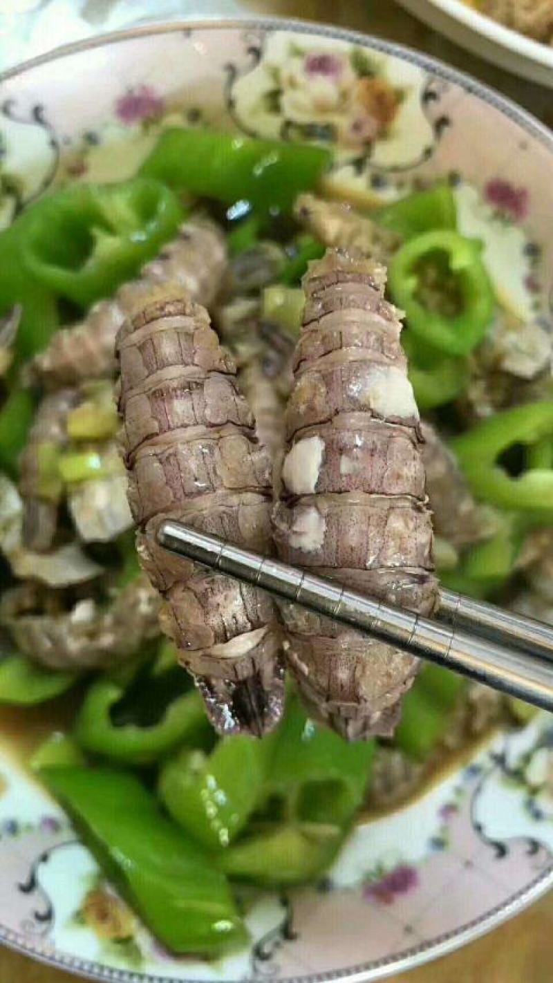 熟冻皮皮虾肉～爬虾肉，虾虎肉虾爬肉支持一件代