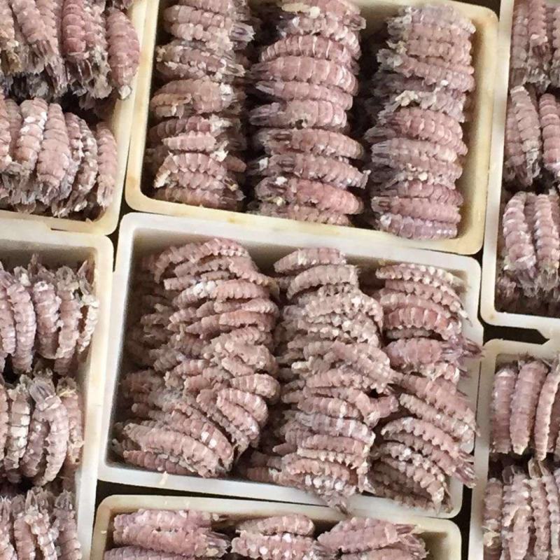 熟冻皮皮虾肉～爬虾肉，虾虎肉虾爬肉支持一件代