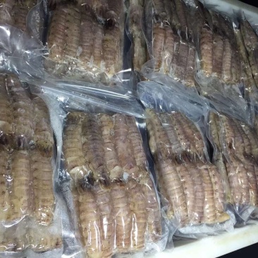 熟冻皮皮虾肉～爬虾肉，虾虎肉虾爬肉支持一件代