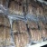 熟冻皮皮虾肉～爬虾肉，虾虎肉虾爬肉支持一件代
