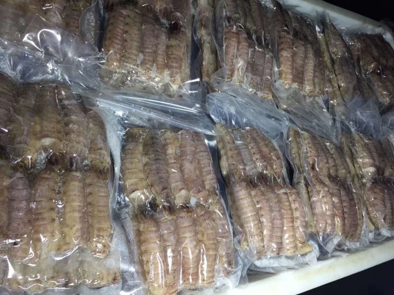 熟冻皮皮虾肉～爬虾肉，虾虎肉虾爬肉支持一件代