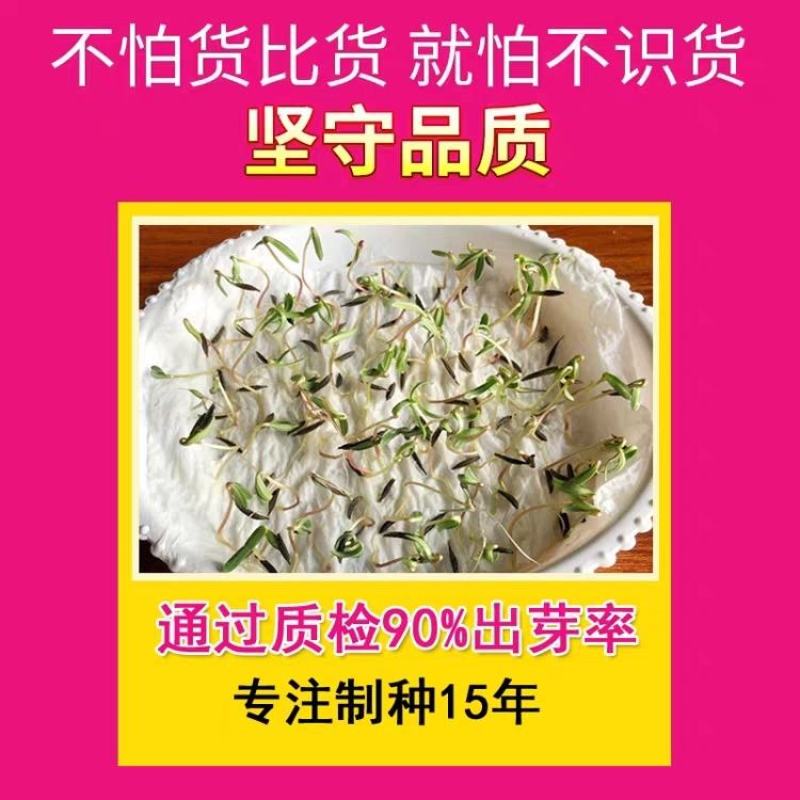 耐寒花种多年生野花组合种子四季开花不断花籽庭院易种活室外