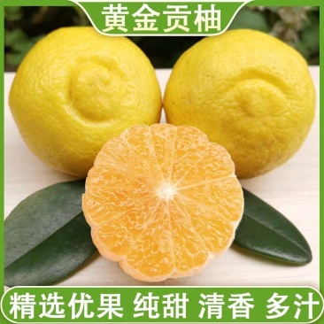 岩垅精品黄金贡柚30万斤