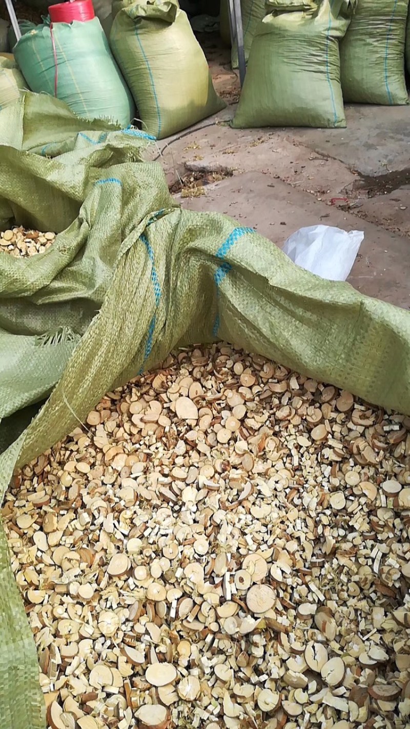 大量长期供应桑枝片无硫统货过筛货量大药用足浴用