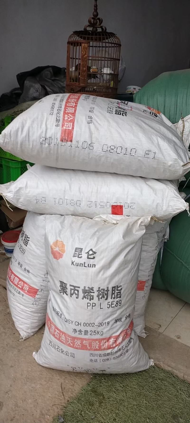 野生雷丸，产地直销，大货量大从优