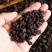 茶化石云南普洱茶化石碎银子特级熟茶糯米香3号茶化石