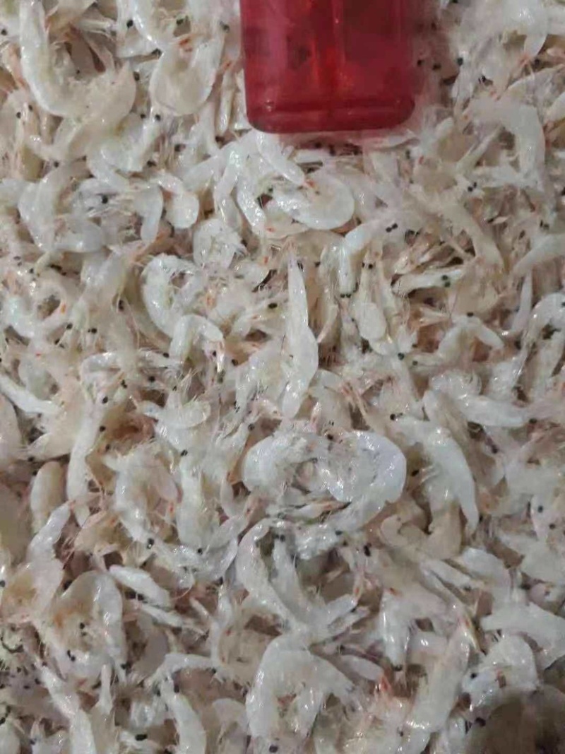 辽宁营口盖州一手货源批发虾皮各种干海鲜