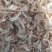 辽宁营口盖州一手货源批发虾皮各种干海鲜