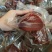 全熟牛肉麻辣五香真空包装开袋即食地摊火爆产品一斤包装