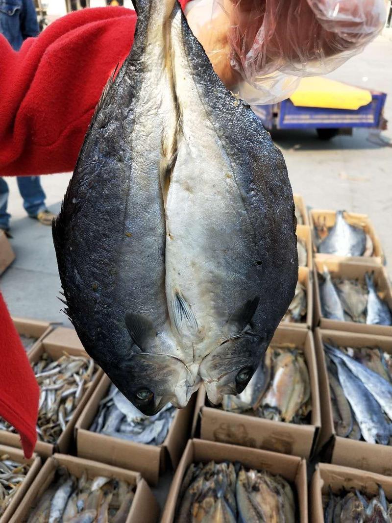 黄金鲅鱼腌制咸鱼干开背去内脏，可视频看货产地直发