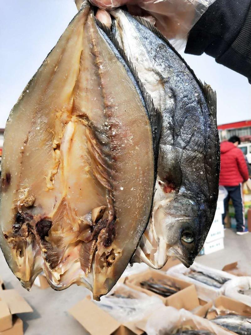 黄金鲅鱼腌制咸鱼干开背去内脏，可视频看货产地直发