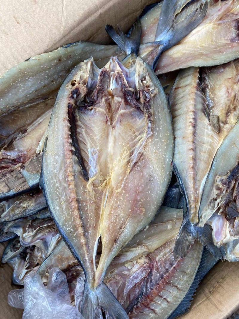 黄金鲅鱼腌制咸鱼干开背去内脏，可视频看货产地直发