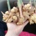 大量供应云南小黄姜，姜母