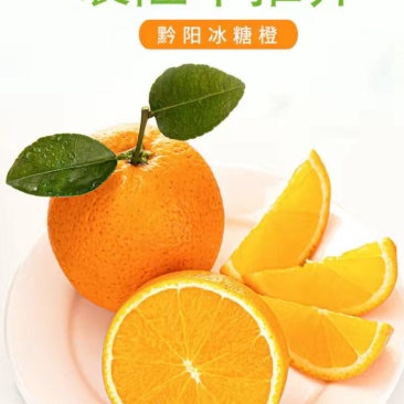 《黔阳冰糖橙》甜进你的心，场地直销，一手货源让你放心