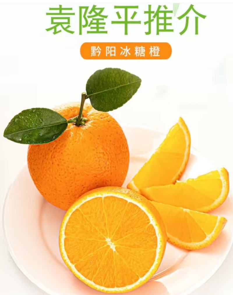 《黔阳冰糖橙》甜进你的心，场地直销，一手货源让你放心