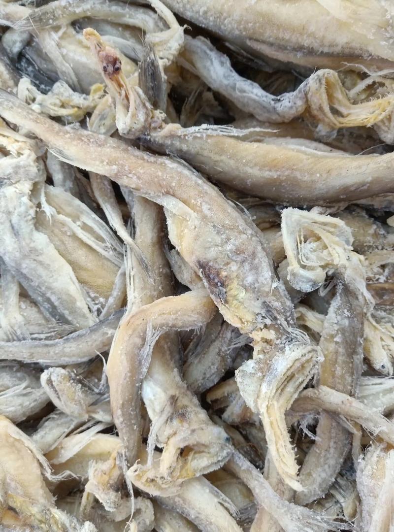 龙头鱼！腌制咸鱼干6/7成干度常年有货一手货源大量现货