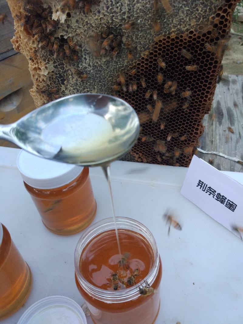 蜂蜜厂家直销大量批发纯正荆条蜂蜜荆花蜜荆棵蜜