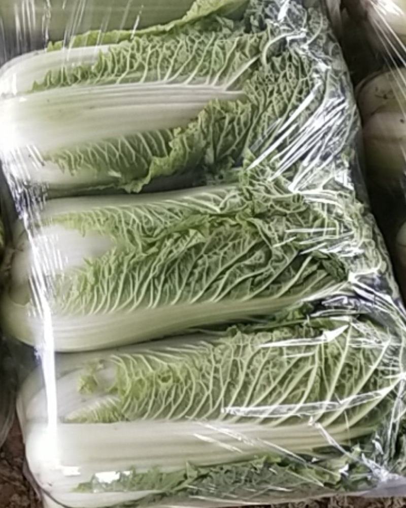 北京三号白菜2~3斤大量上市，欢迎询价