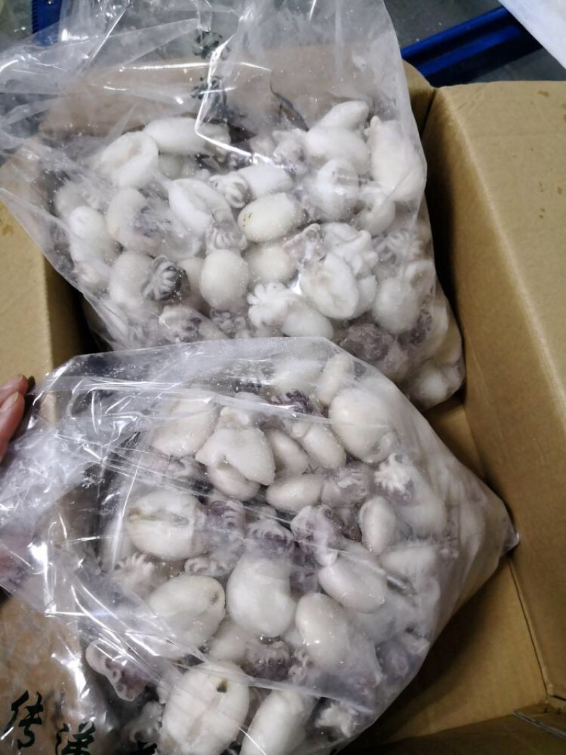 墨鱼仔三去放潮新货非常新鲜火锅店必备