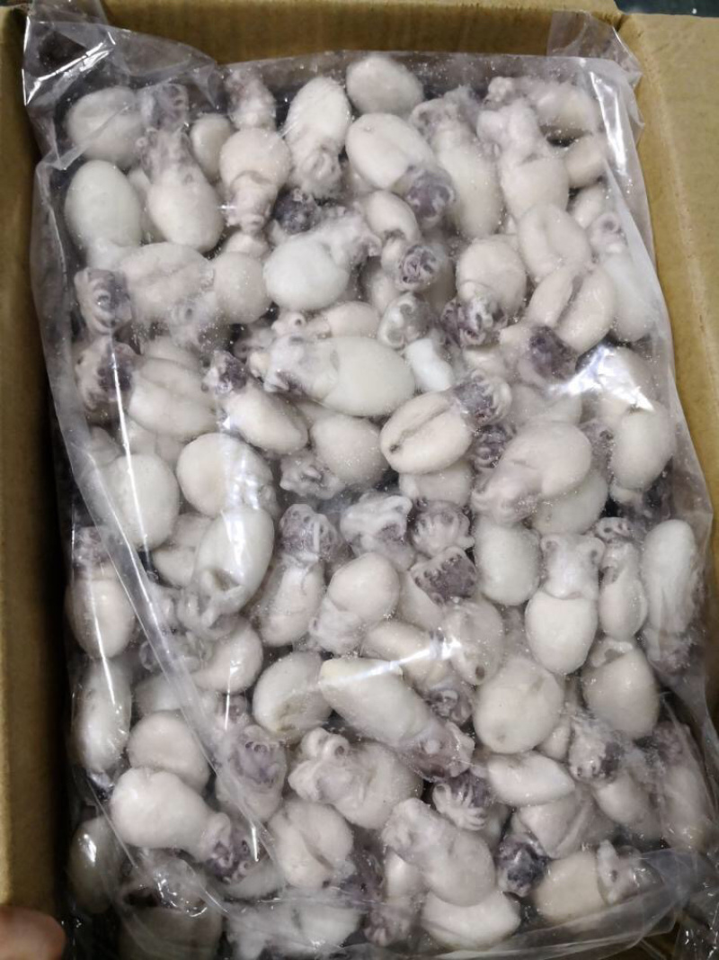 墨鱼仔三去放潮新货非常新鲜火锅店必备