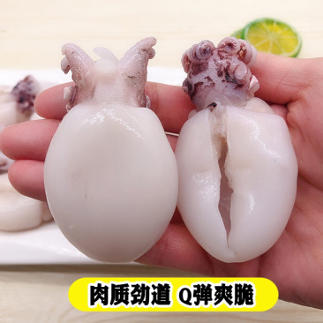 墨鱼仔三去放潮新货非常新鲜火锅店必备