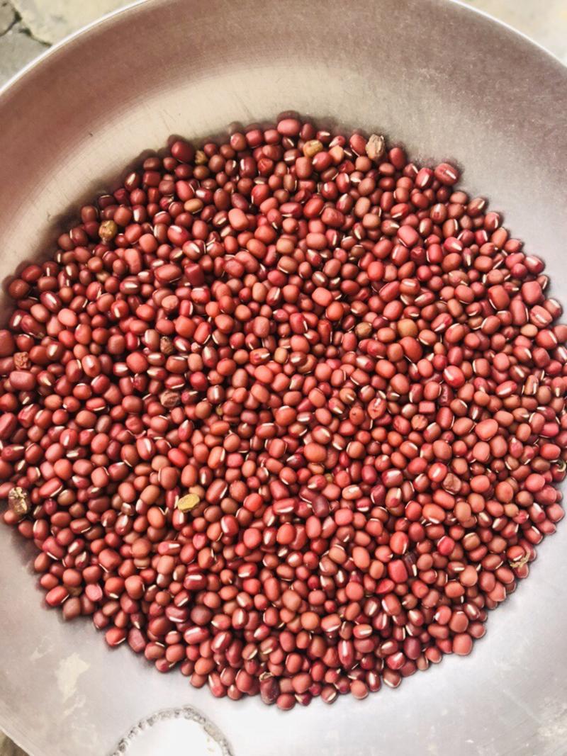 红豆，四川本地货，100斤一件一件起批，需要的联系