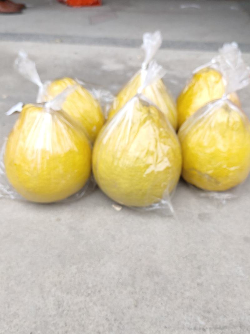 高山老树。正宗江永老树香柚，口感好，水分足，糖分高