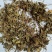 紫花地丁统货批发零售支持混批1000克量大从优