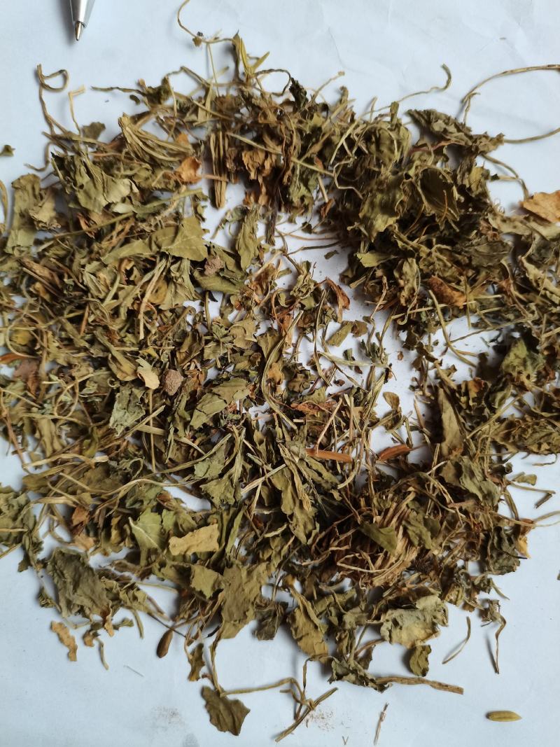 紫花地丁统货批发零售支持混批1000克量大从优