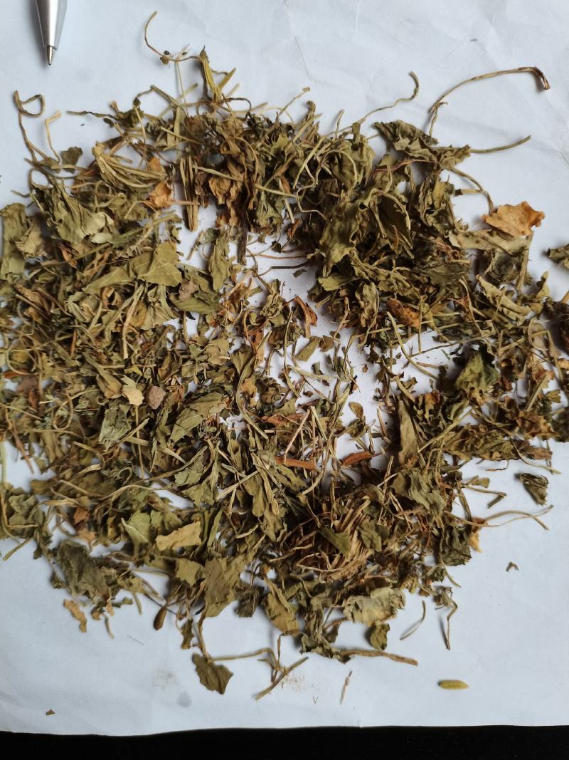 紫花地丁统货批发零售支持混批1000克量大从优