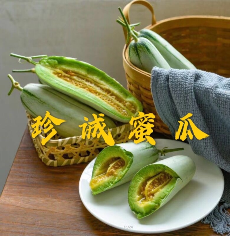 【专业供应】百万亩博洋61甜瓜大量上市专业供应诚信代收