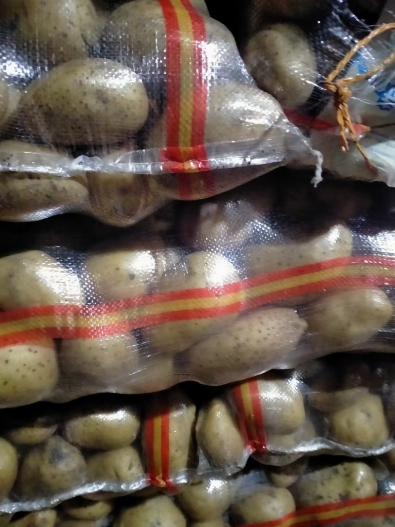 黄心土豆，白心土豆质量杠杠