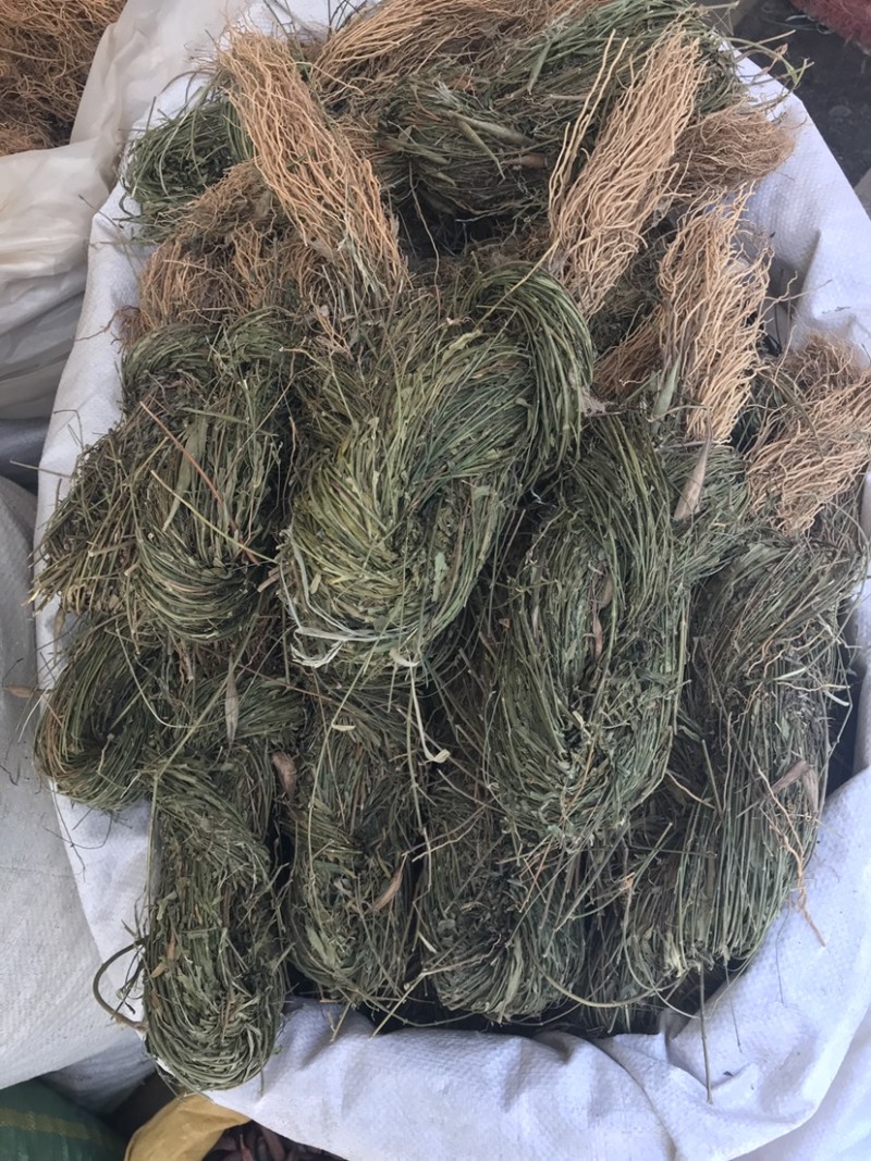 徐长卿辽叼竹全棵支持线上交易量大从优