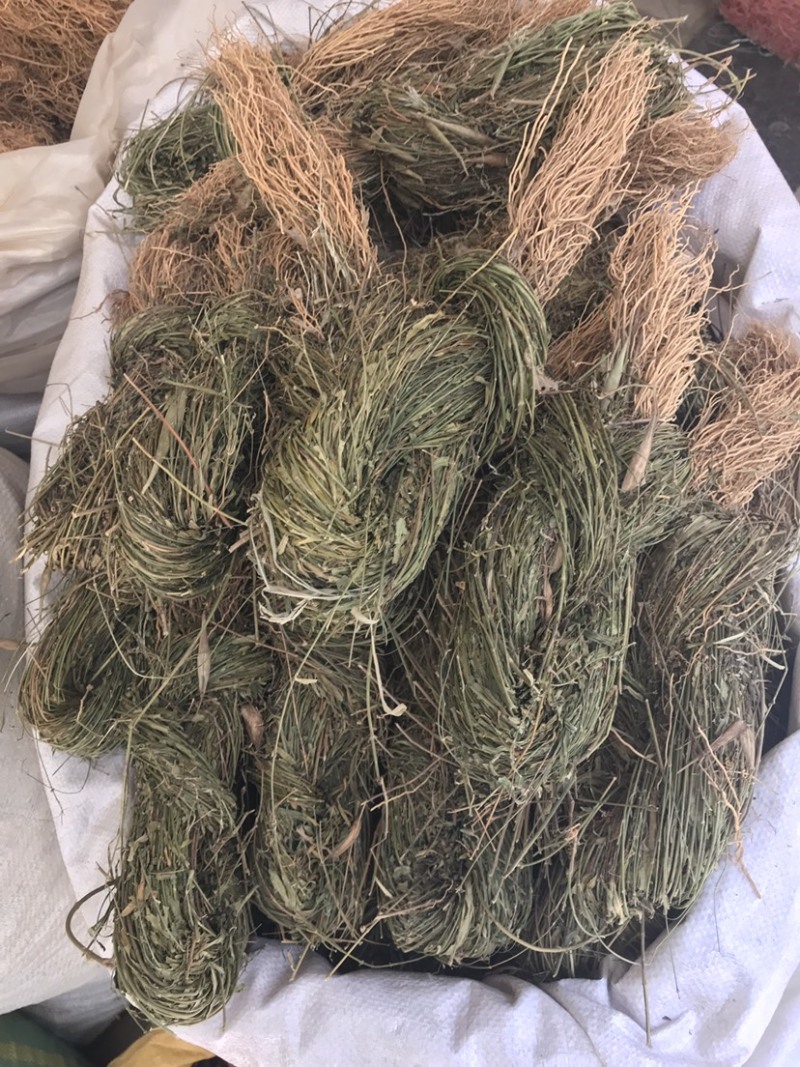 徐长卿辽叼竹全棵支持线上交易量大从优