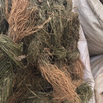 徐长卿辽叼竹全棵支持线上交易量大从优