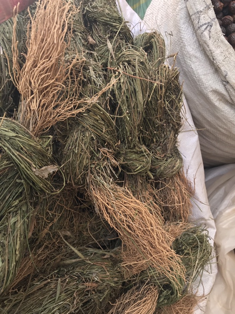 徐长卿辽叼竹全棵支持线上交易量大从优