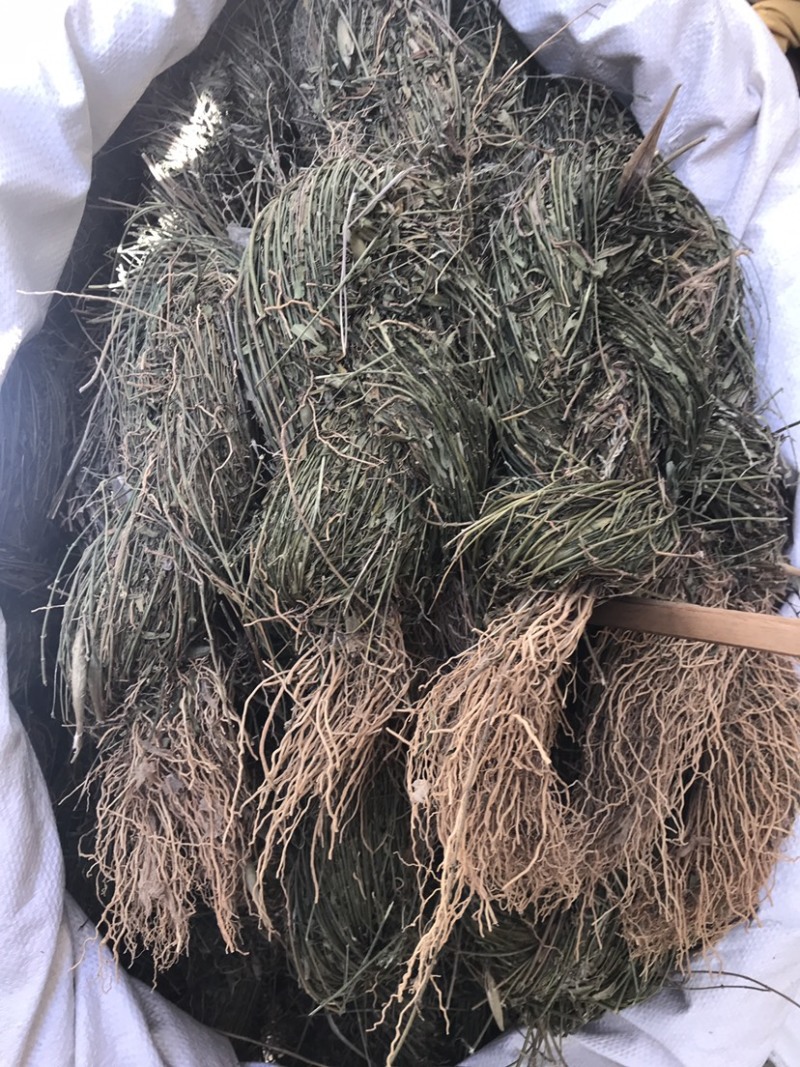 徐长卿辽叼竹全棵支持线上交易量大从优