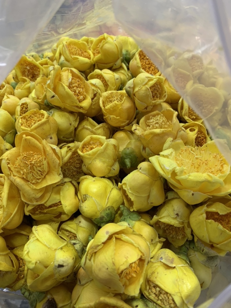 金花茶产地直销，没有中奸商