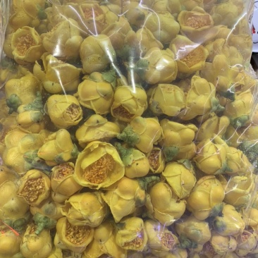 金花茶产地直销，没有中奸商
